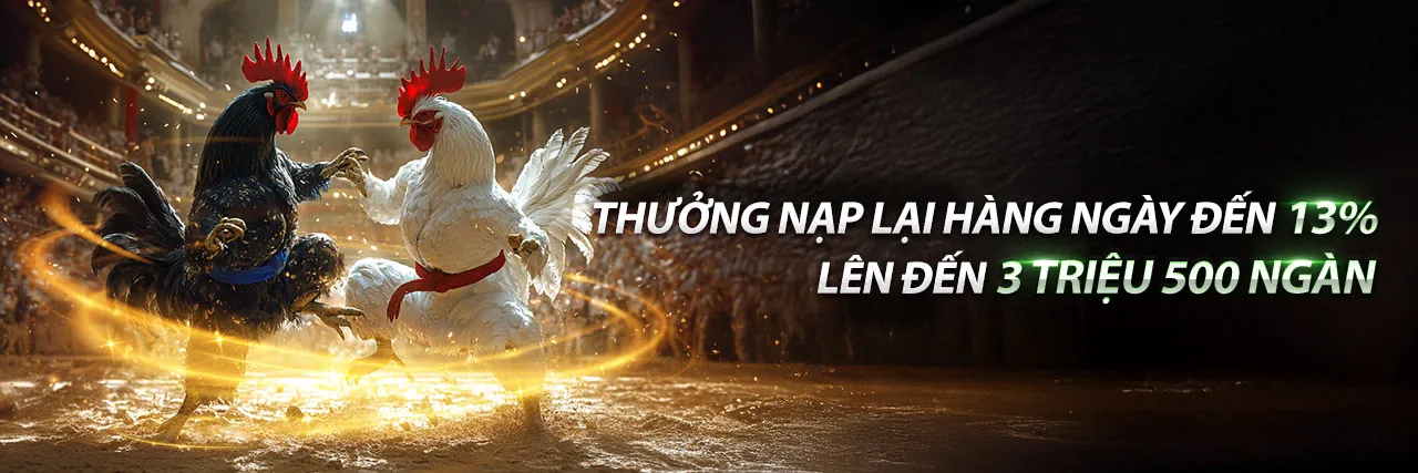 Trực tiếp đá gà con gà đen kịch tính tại Rich88 Casino